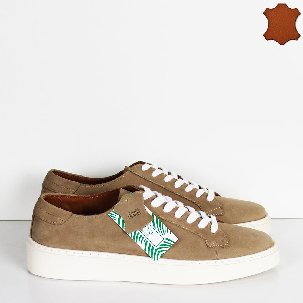 MS-63805-TIMBER630