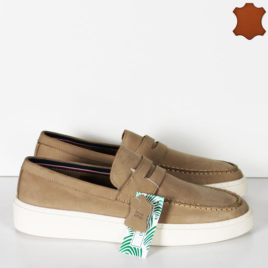 MS-638R03-TIMBER-630