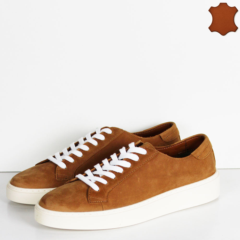 MS-638R05-TIMBER330